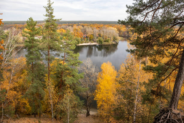 istock Autumn river valley with colorful forest 2157958768