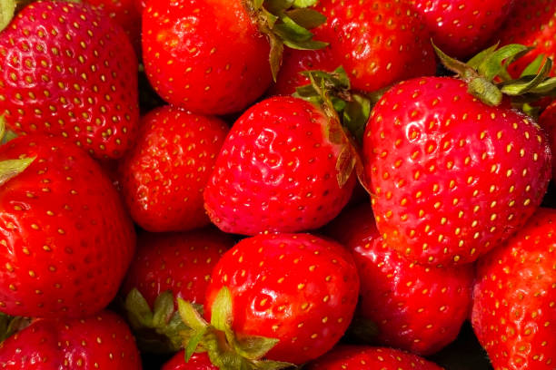 istock Strawberry background. Fresh strawberries close up. Strawberry texture. 2157958809