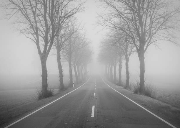 istock The motorway  in a fog 2157959043