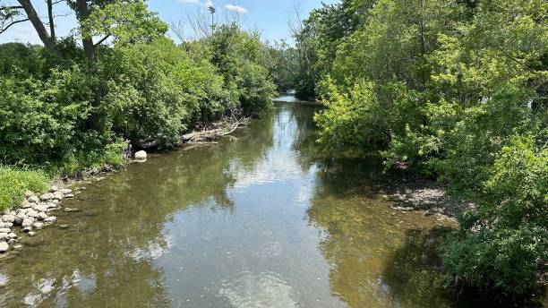 istock Scenic shallow river lined with trees and rocks 2157960509