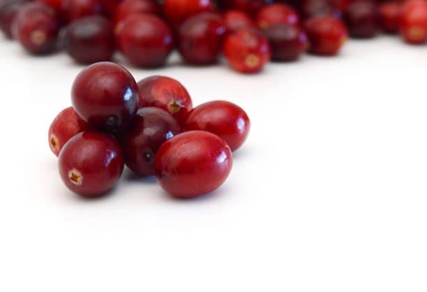 Cranberry isolated on white background
