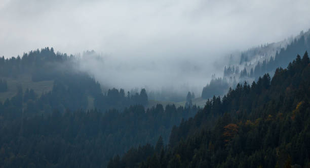 istock Balderschwang in Bavaria in Germany 2157962224