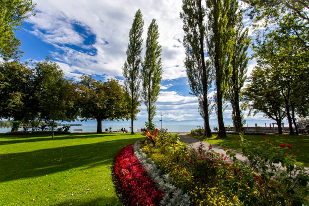 istock Kressbronn on Lake Constance | Landscape | Cyclist | Wine | Grapevine | Ship 2157964772