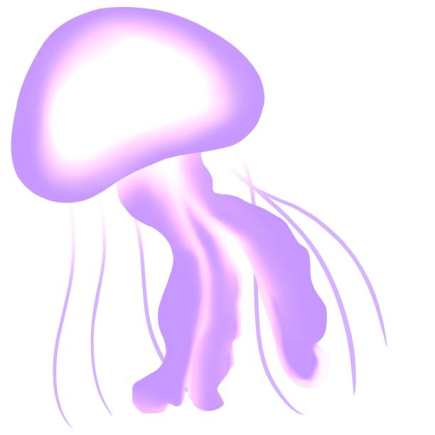 istock illustration of jellyfish transparent background 2157967759