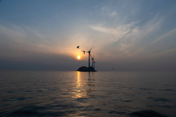 istock wind turbines and flying seagulls during sunset 2157968894