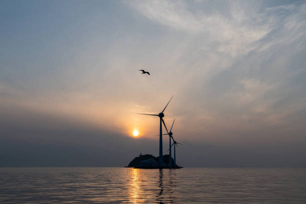 istock wind turbines and flying seagulls during sunset 2157968945