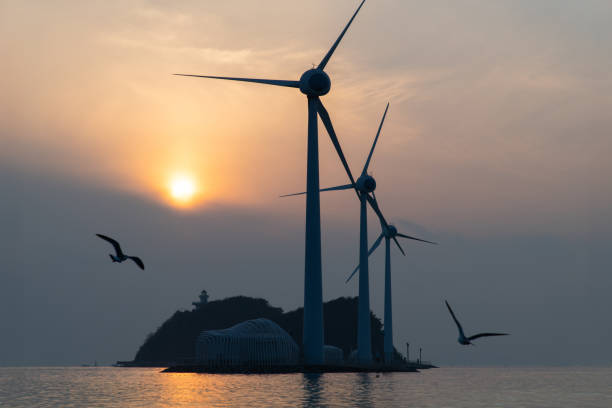 wind turbines and flying seagulls during sunset