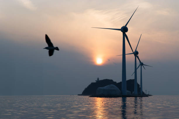 istock wind turbines and flying seagulls during sunset 2157969066