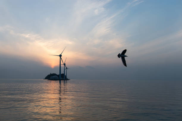 istock wind turbines and flying seagulls during sunset 2157969106