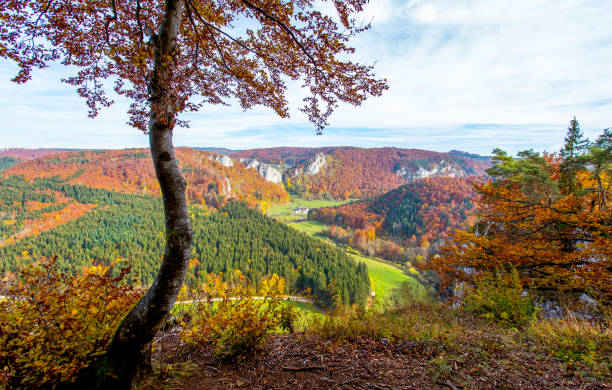 Knopfmacherfelsen in Germany | View from Mountain