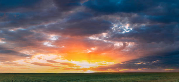 istock Spring Sunset Sky Above Countryside Rural Meadow Landscape. Wheat Field Under Sunny Spring Sky. Skyline. Agricultural Landscape With Growing Green Young Wheat Shoots, Wheat Germs. 2157970234