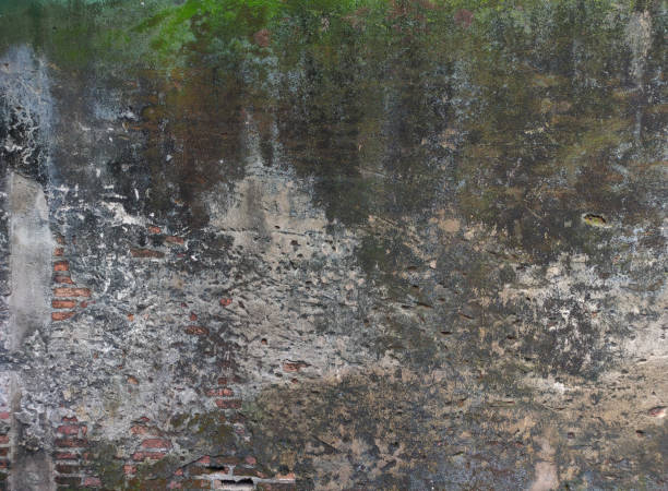istock Background Texture Abstract, old cement wall and decay, used as a vintage background, website wallpaper. 2157971386