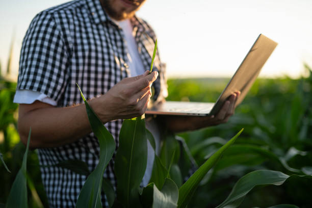 istock Quality control at the cornfield via laptop. 2157979144