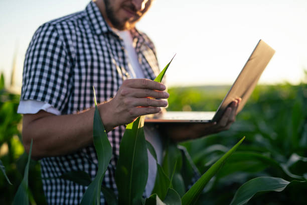 istock Quality control at the cornfield via laptop. 2157979163