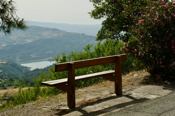 bench with trees and bushes with a lake in the distance