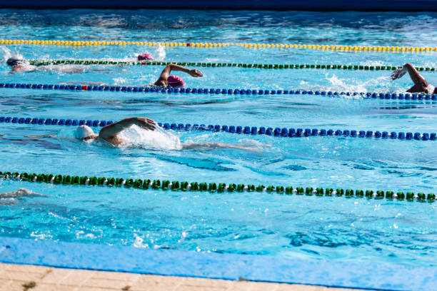 istock Professional swimmers in a Swimming Pool 2157980009