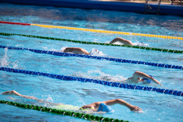 istock Professional swimmers in a Swimming Pool 2157981892