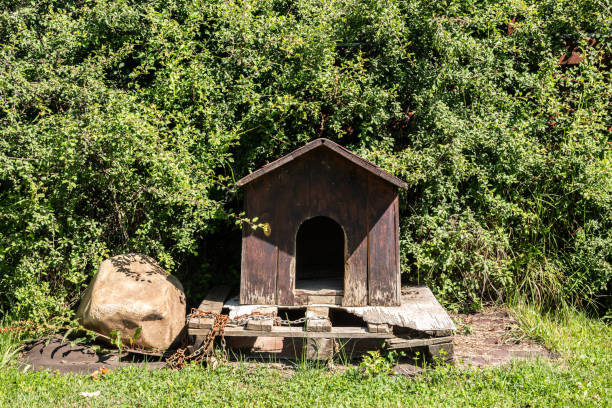 Wooden dog house in farm yard closeup on sunny summer day