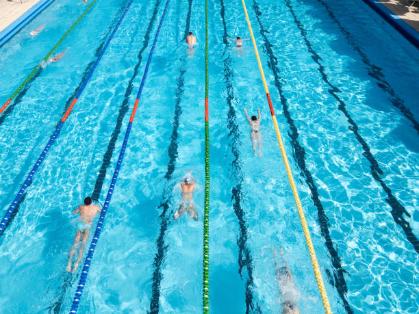 istock Professional swimmers in a Swimming Pool 2157982692