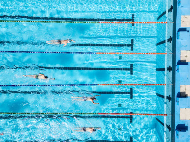 Professional swimmers in a Swimming Pool