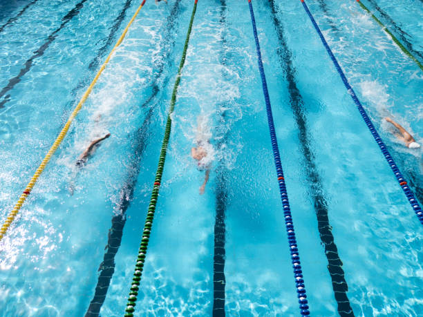 istock Professional swimmers in a Swimming Pool 2157984223