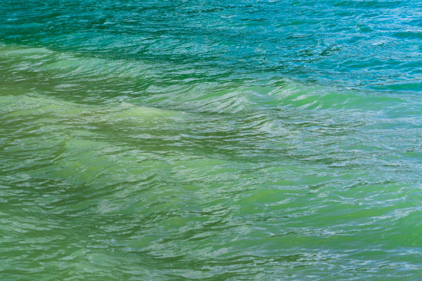 Green Blue Water Aqua Background - Water and waves detail.