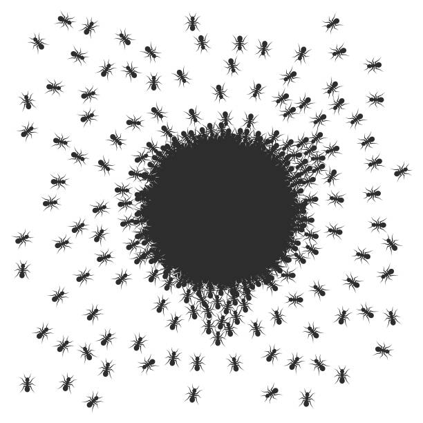 Free Ants Vector Art - Download 132+ Ants Icons & Graphics - Pixabay