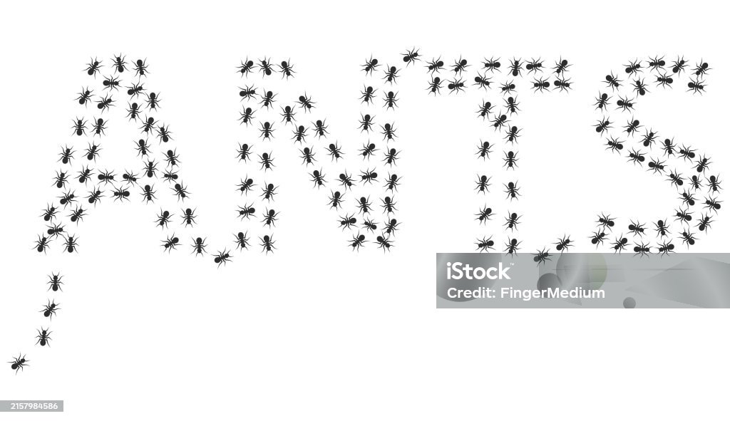 Ant Vectorized Ants Vector Set Stock Illustration - Download Image Now - Ant ...