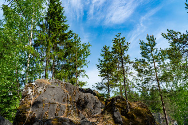 An impressive marble cliff with unique patterns, set against a backdrop of pine trees and a clear blue sky in Karelia. Ideal for themes related to geology, nature, and outdoor exploration.
