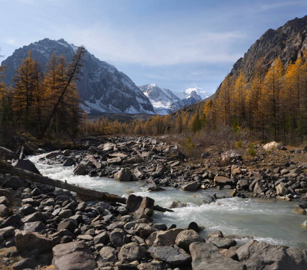 istock Glacial river of Altai 2157988446