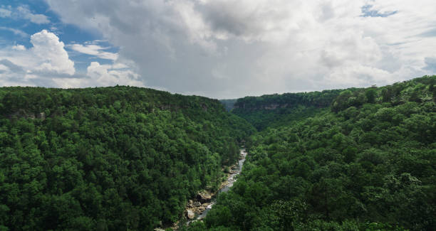 istock Majestic Cloudland Canyon Panorama 2157991530