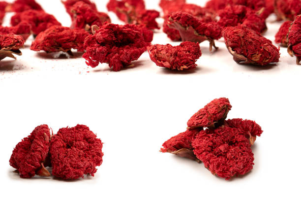 Dried pomegranate flower isolated on a white background. Top view.