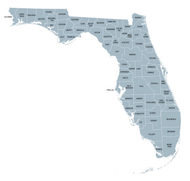 ilustraciones, imágenes clip art, dibujos animados e iconos de stock de estado estadounidense de florida, subdividido en 67 condados, mapa político gris - zona-urbana