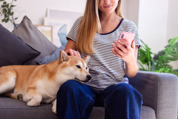 istock Woman petting shiba inu dog while using smartphone on couch 2157999781