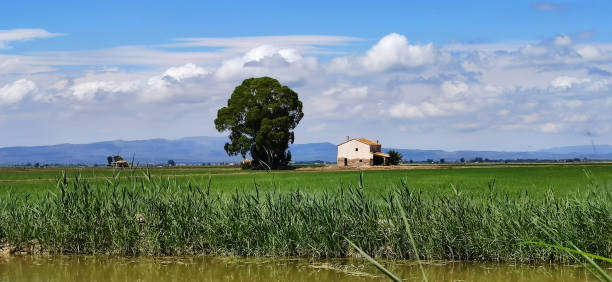 natural park in ebro river catalonia spain