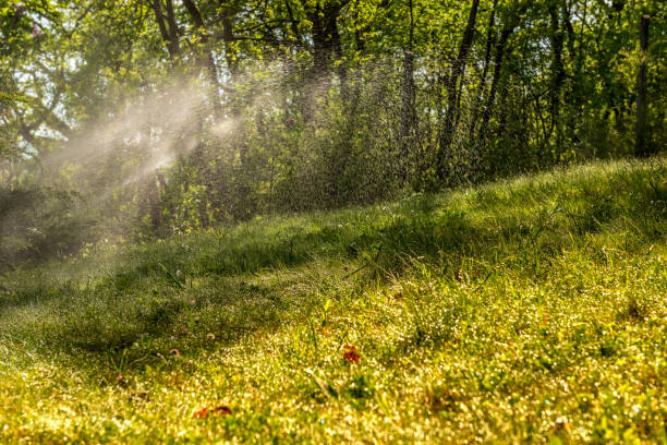 istock water sprinkler on green grass background in sunshine. 2158002291