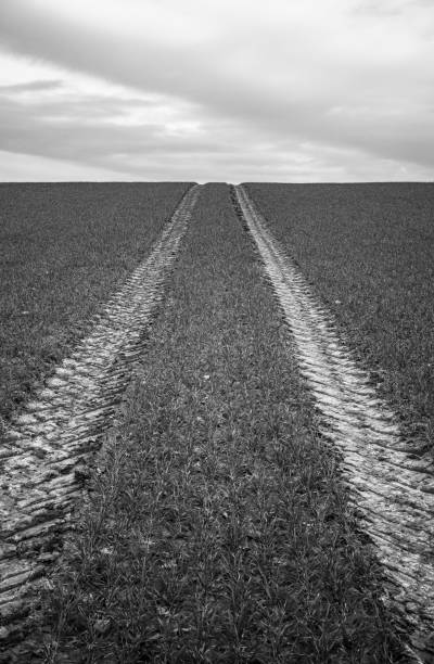 istock tire print  tracks on the field 2158003397