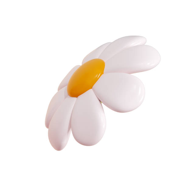 istock Daisy plastic flower cartoon icon 3d render illustration. 2158003723