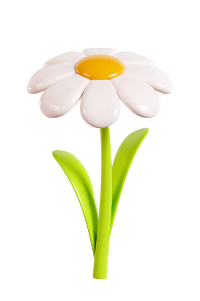 istock Daisy plastic flower with white petals, green stem and leaf. Cartoon icon 3d render illustration. 2158003742