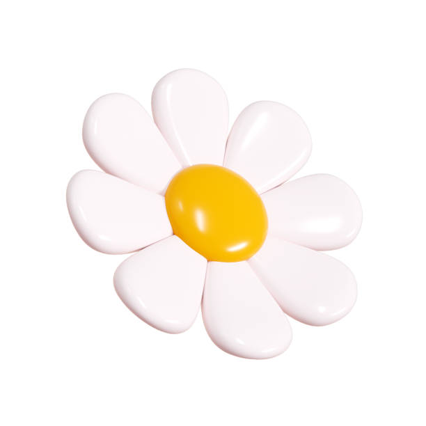 istock Daisy plastic flower cartoon icon 3d render illustration. 2158003757