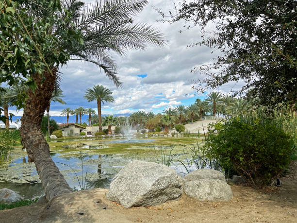 istock Peaceful View of Pond on a Date Tree Farm 2158009545