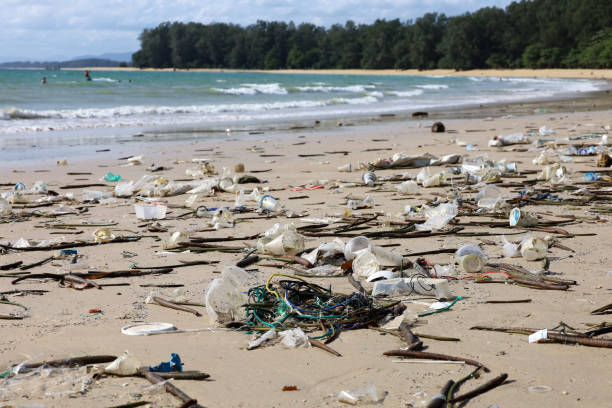 istock World ocean pollution, plastic garbage on sea sand 2158010513