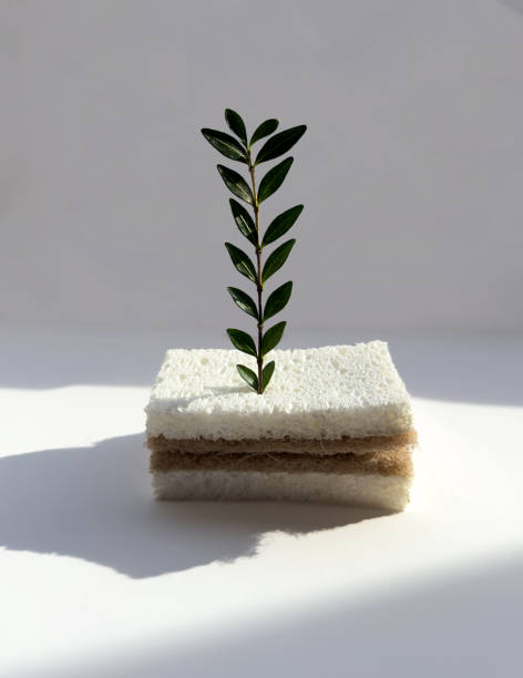 Zero Waste Kitchen Eco Sponge,