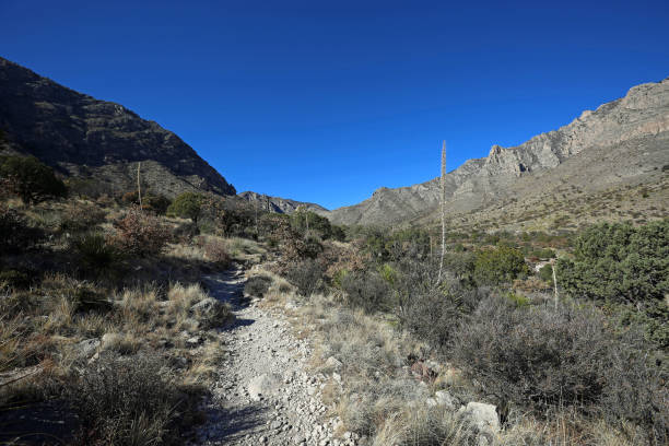 istock Trail in Guadalupe Mountains NP 2158011225