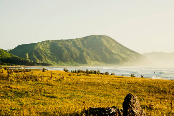 Coast scene bay foreshore and sea with hill.