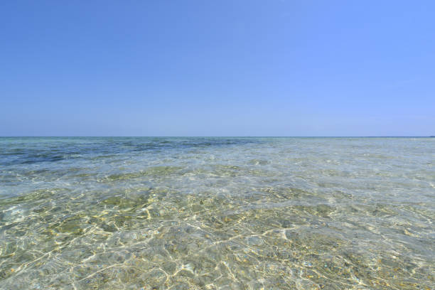 Pandanon Island in the Philippines Cebu