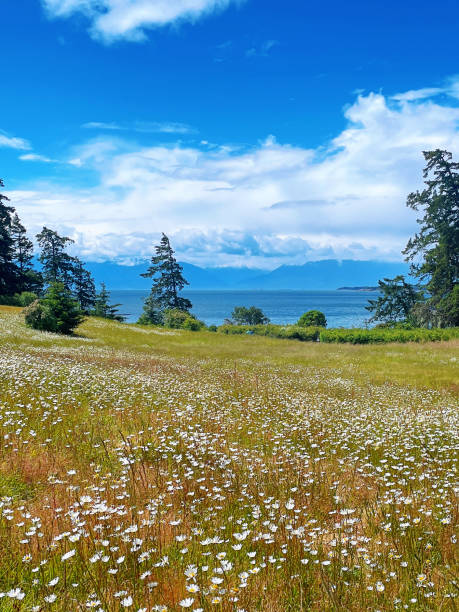 From land to sea and the snow mountains