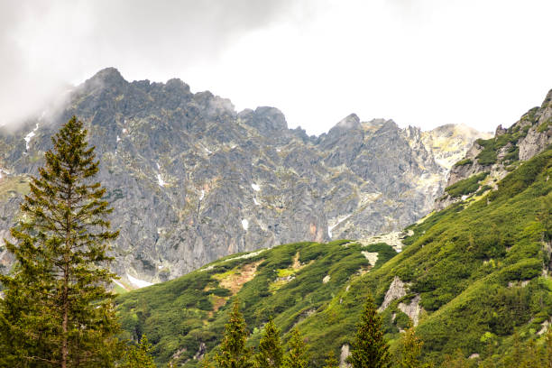 nature and Tatra mountains in Poland during the summer day
