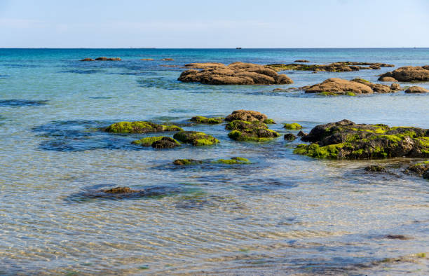 istock Beach in Brittany, France 2158017015