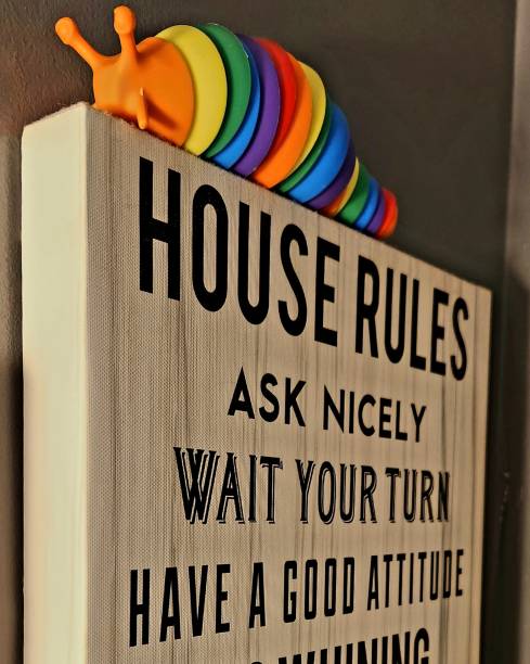Embracing Positivity: A Whimsical Take on Household Management